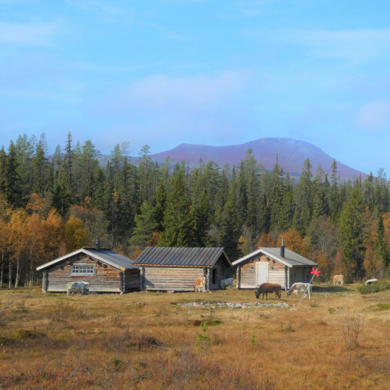 glasunderlägg fjällvy